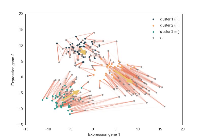 Michielstock's tweet image. Today&apos;s lecture was a challenging one, though one of my favorite topics: #optimaltransport. Has some nice applications in bioinformatics including cell tracking and constructing epigenetic landscapes.