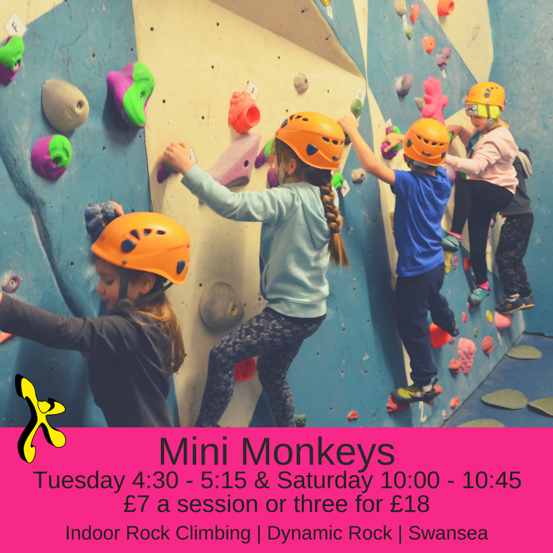 dynamicRock's tweet photo. Mini monkeys - a climbing club for those aged 5 & 6 years old starting at Dynamic Rock in April #minimonkeys #indoorclimbing #Swansea https://t.co/wl9ZObvtWV
