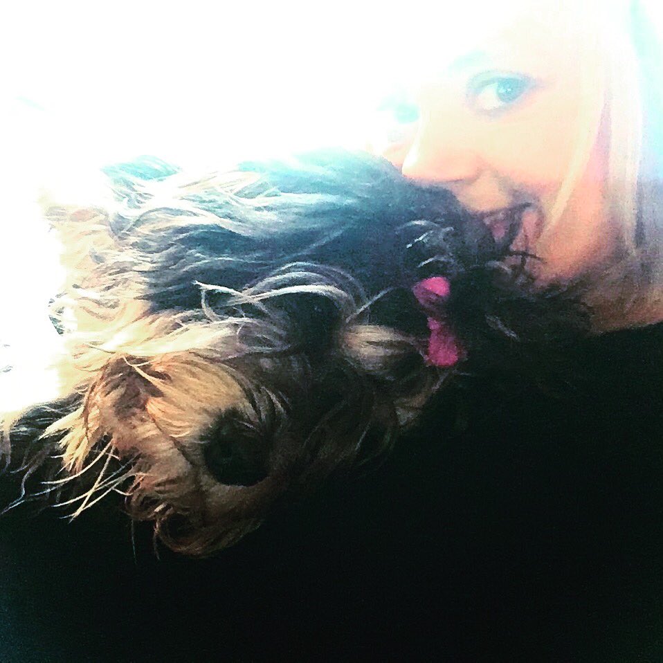 vivientaylor's tweet image. It’s scary how much I miss my dog when I’m away even for just one night!  🐶 #tibetanterrier #cutedogsoftwitter