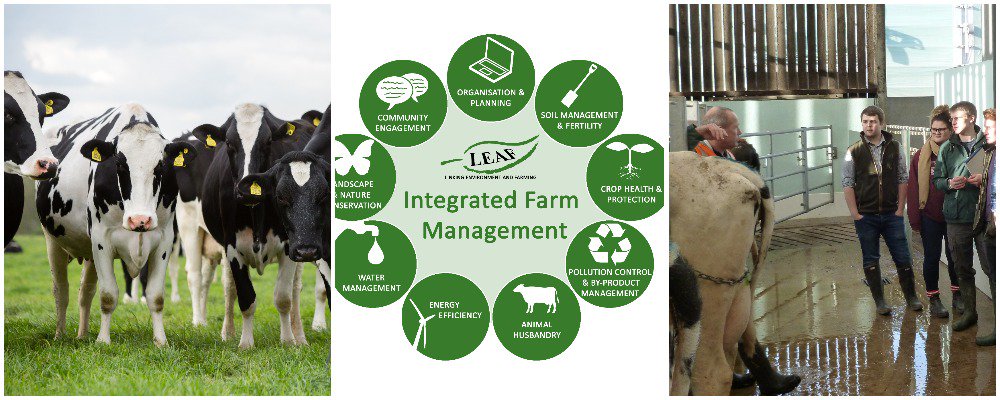 LEAF_Farming's tweet photo. Our network of LEAF Innovation Centres has been joined today by the Centre for Dairy Research @UniRdg_SAPD. Hugely proud to be working in collaboration to drive forward research, development and promotion of Integrated Farm Management in the livestock sector #CEDAR25 https://t.co/4PX30L4QmL