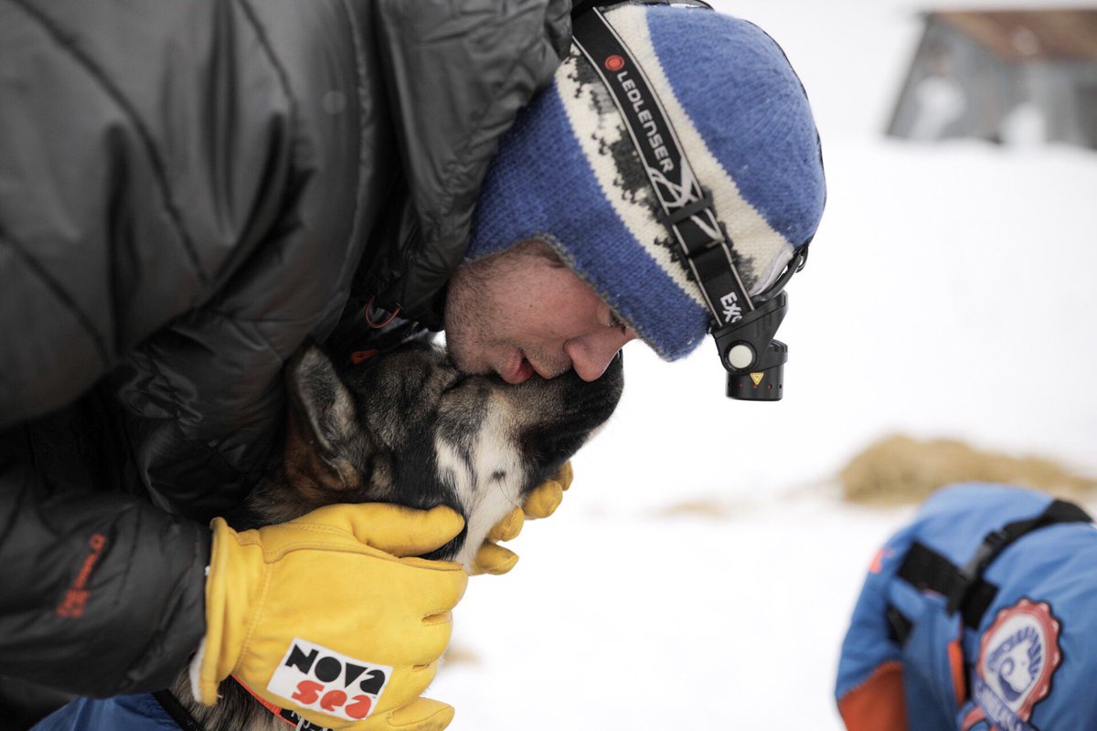 ADNIditarod's tweet photo. A new champion! ️Joar Leifseth Ulsom of Norway has won the 2018 Iditarod: 

#Iditarod2018 #Iditarod https://t.co/d58lsagHHi https://t.co/t8HflurjUA