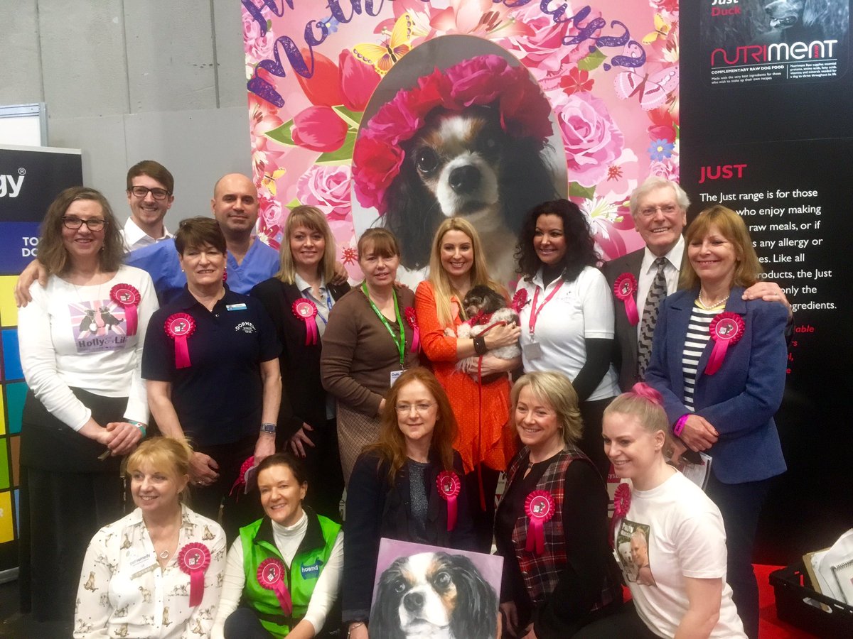 marcthevet's tweet photo. BOOM!! Amazing stuff well done EVERYONE who signed &amp; shared the petition! #LucysLaw will now be debated in Parliament :) #wheresmum #adopt https://t.co/NVXpkNkLtA