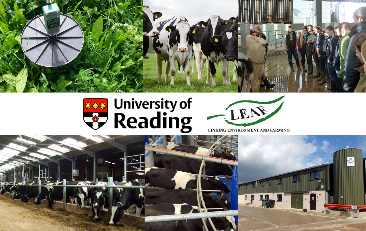 LEAF_Farming's tweet photo. Proud to welcome one of the UK's leading facilities for applied and strategic large animal research - @UniRdg_SAPD Centre for Dairy Research as our 10th Innovation Centre #CEDAR25 #IntegratedFarmManagement https://t.co/KHEcwmUIp3 https://t.co/ncT5B4ZPrM