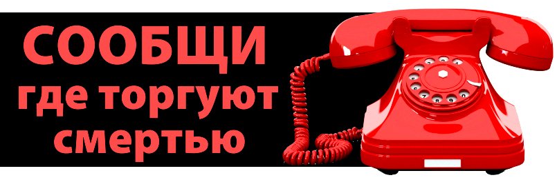 Информационная безопасность для дошкольников. Мошенники плакат. Сообщу. Сообщу. У нас новый сайт.