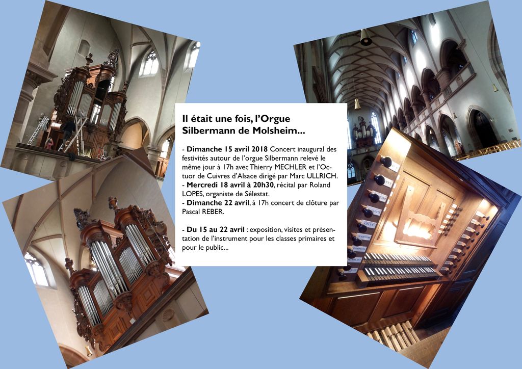 VisitMolsheimMutzig tweet media