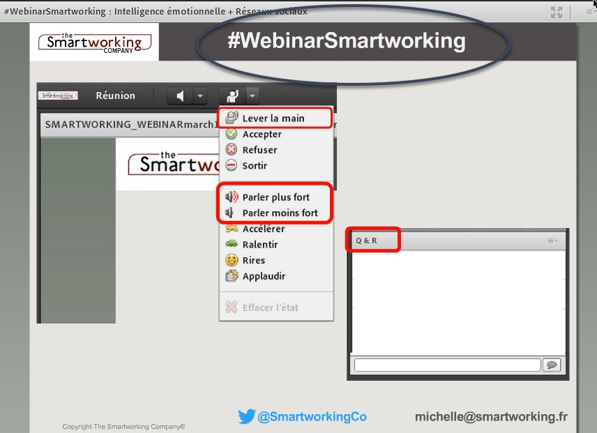 RichardLAURENT_'s tweet photo. C'est parti pour le #WebinarSmartworking pour l'IE (Intelligence Émotionnelle) et les #RéseauxSociaux avec Michèlle de @SmartworkingCo ! https://t.co/BoWyLpM4Fh