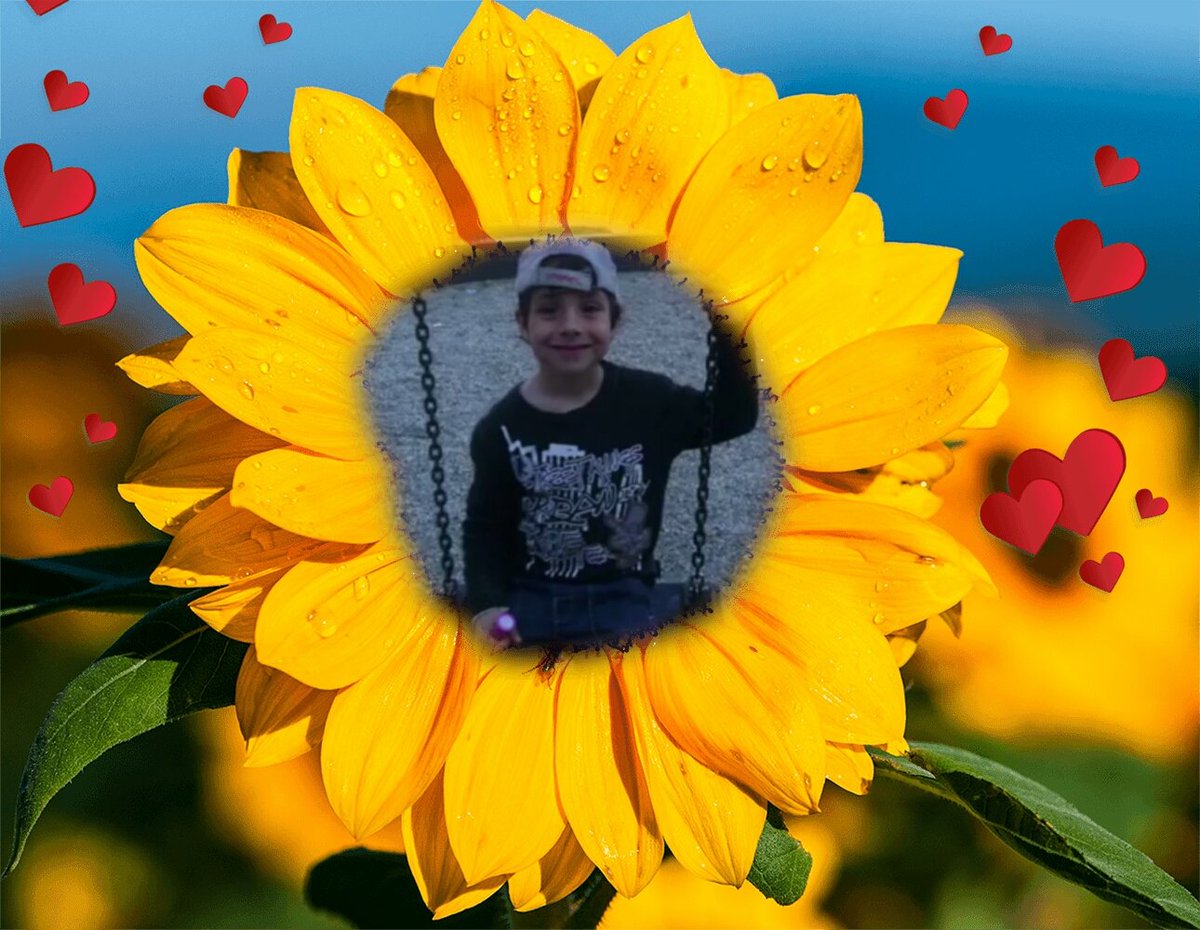 <a href="/elboloasistant/">Rubén Aguado</a> <a href="/telecincoes/">Telecinco</a> Como pedia tu madre que en tu memoria podriamos girasoles en tu honor #Grabien  🌻🌻🌻🌻