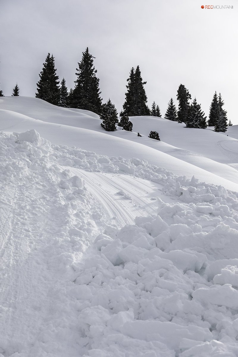 Nivologic tweet media