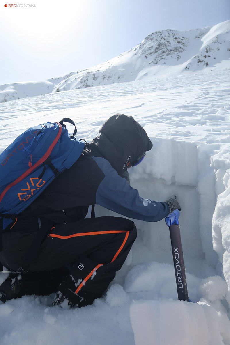 Nivologic tweet media