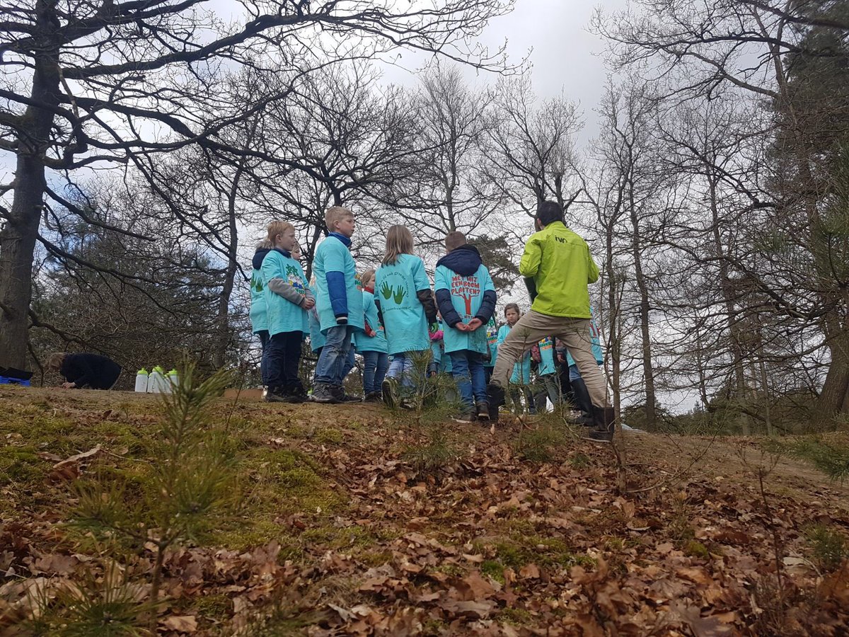 IVNRegioNoord's tweet photo. Ruim 80 leerlingen uit #Borger-Odoorn plantten vandaag bomen en deden allerlei activiteiten in het bos bij @_poolshoogte tijdens de provinciale #boomfeestdag! https://t.co/TmXC1K8fJP