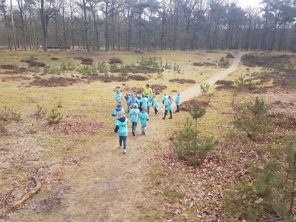IVNRegioNoord's tweet photo. Ruim 80 leerlingen uit #Borger-Odoorn plantten vandaag bomen en deden allerlei activiteiten in het bos bij @_poolshoogte tijdens de provinciale #boomfeestdag! https://t.co/TmXC1K8fJP