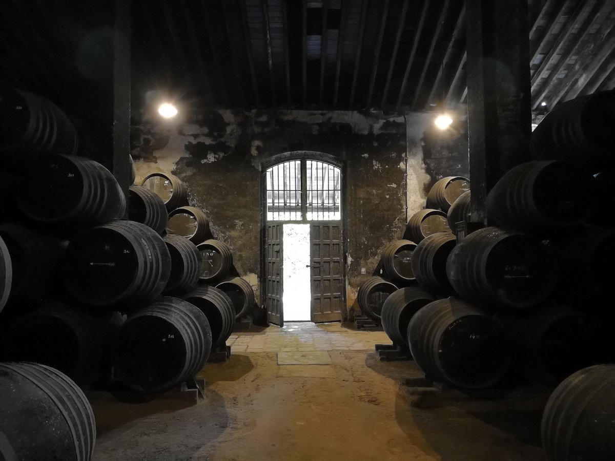 SherryWinesBCN's tweet photo. Visita a Emilio Hidalgo con las criaderas y solera de su #Fino, Panesa, #Amontillado... 😍👏🏻🔝🍷
#Sherry #SherryWeek #SherryWine #SherryWines #SherryWinesBCN #FormadorVinosJerez #EmilioHidalgo https://t.co/57xskLaC1F
