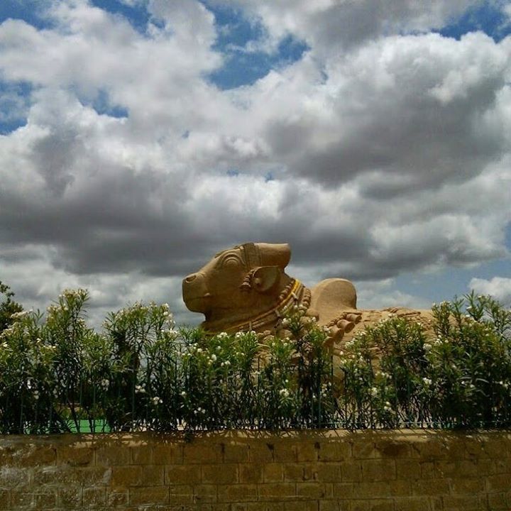 vidyasury's tweet photo. Clouds passing by. Sitting serenely at the archeological and cultural site Lepakshi, built during the 13/15th century is this large monolithic granite Nandi bull, 27 ft long and 15 ft tall.

#incredibleindia #pbloggers #lbloggers #iamtb #traveldiaries #travel 
#fmspad #fms_c… https://t.co/ELQrRz2ocR