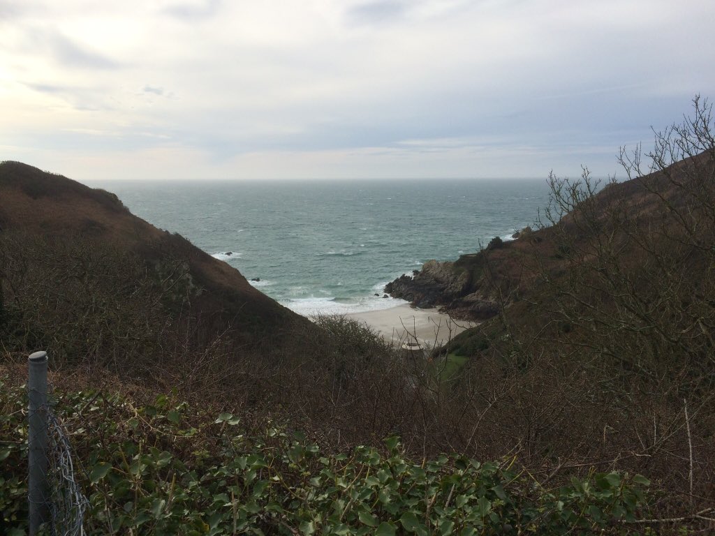 specialplants's tweet photo. Guernsey walks today. #nccpg talk on kyrgystan tonight https://t.co/o65OxrO8DD