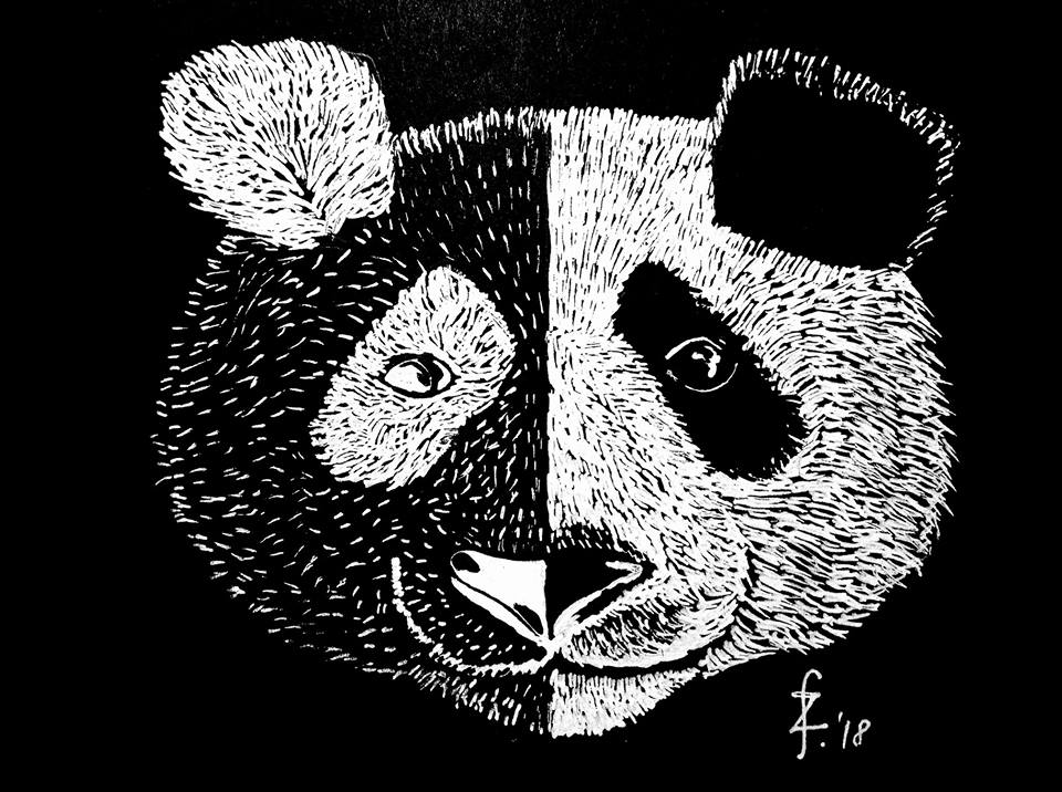 Out now! free download!! 
Martin Neuhold &amp; Sean Derrick Cooper Marquardt - Guitar Solos (2018)

archive.org/details/amp143/
amp-recs.com/amp/amp143.html