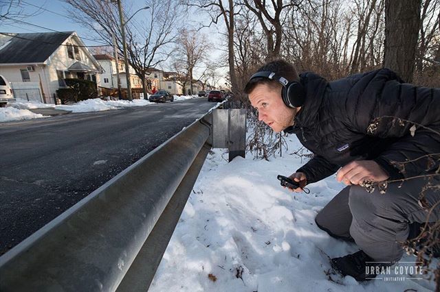 UrbanCoyoteIntv's tweet photo. @ivan_kuraev, one of our intrepid photographers, is standing in as the coyote in his latest camera trap set up, hoping to get an image of a neighborhood coyote known to cross the road in this spot.

Camera traps are just one way we gather unique and beau… https://t.co/Q9ZLBY9pc9 https://t.co/7eV6jYYE1I