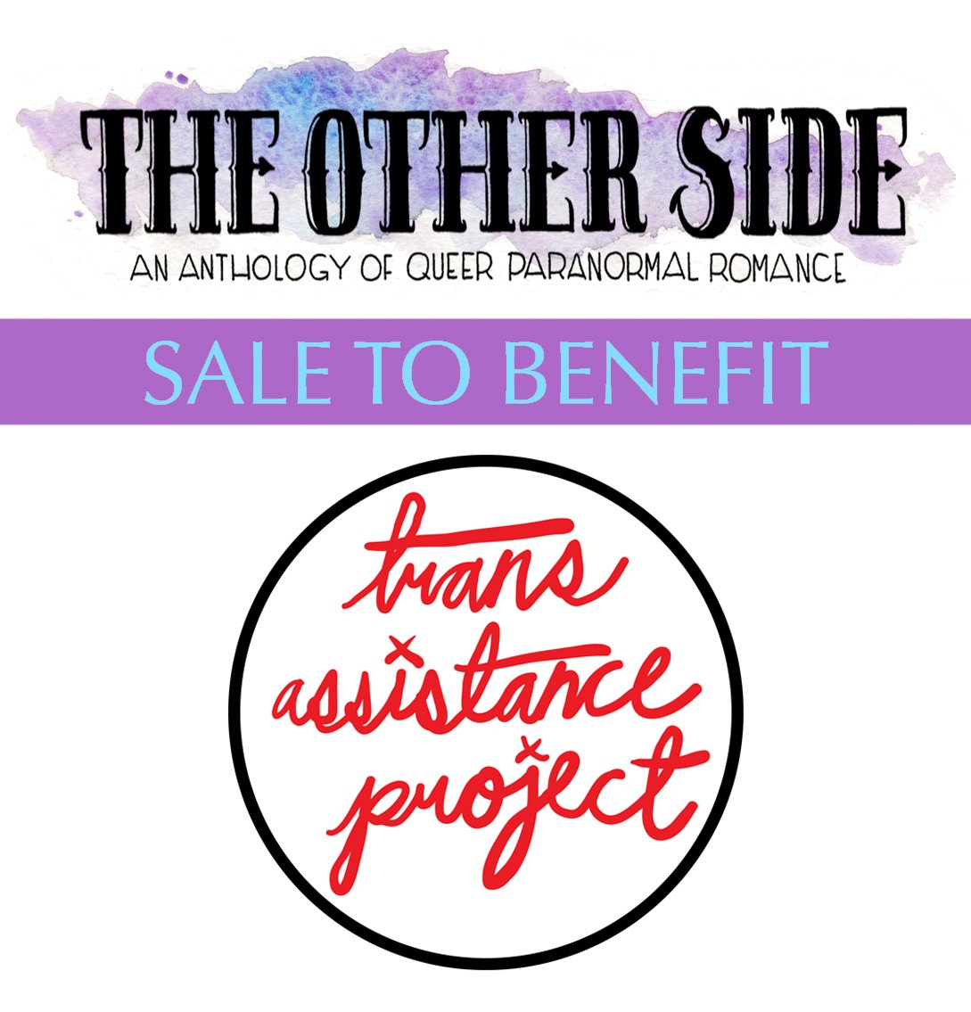 melgillman's tweet photo. The Other Side is on sale this week to benefit @TLmicrogrants !

Use the offer code TRANSASSISTANCE to get 50% off, and 100% of the proceeds will go toward helping low-income trans people get correct passports, drivers licenses, and other documents! https://t.co/LNMo1D37TT https://t.co/vvRNkNP7a0