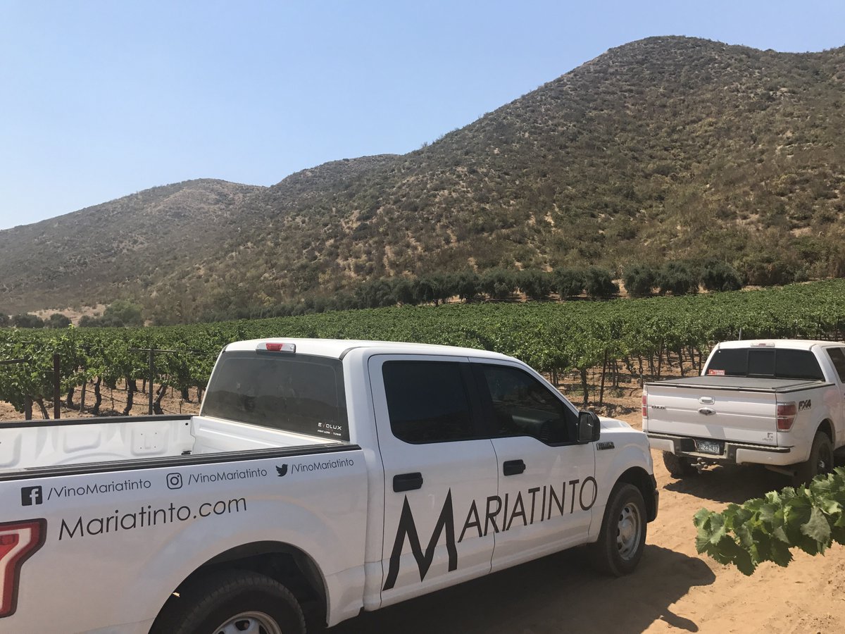 Viñedo de Syrah y Nebbiolo del Valle de San Vicente Ferrer, unos 100km al sur de Ensenada. Cosechamos las uvas cuando estan maduras, nunca en base a grados de azúcar. Llevamos vino de ese viñedo del año anterior y probamos vino vs uva. #yosoymexicano