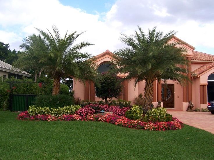JPeckLandscape's tweet photo. Spring is upon us and so is #springcleaning. Add landscape design to your list &amp; let us at James Peck Landscape in Palm Harbor do the hard work. #jamespecklandscape

https://t.co/O0NFgNMpAX https://t.co/EeVX0XKqep