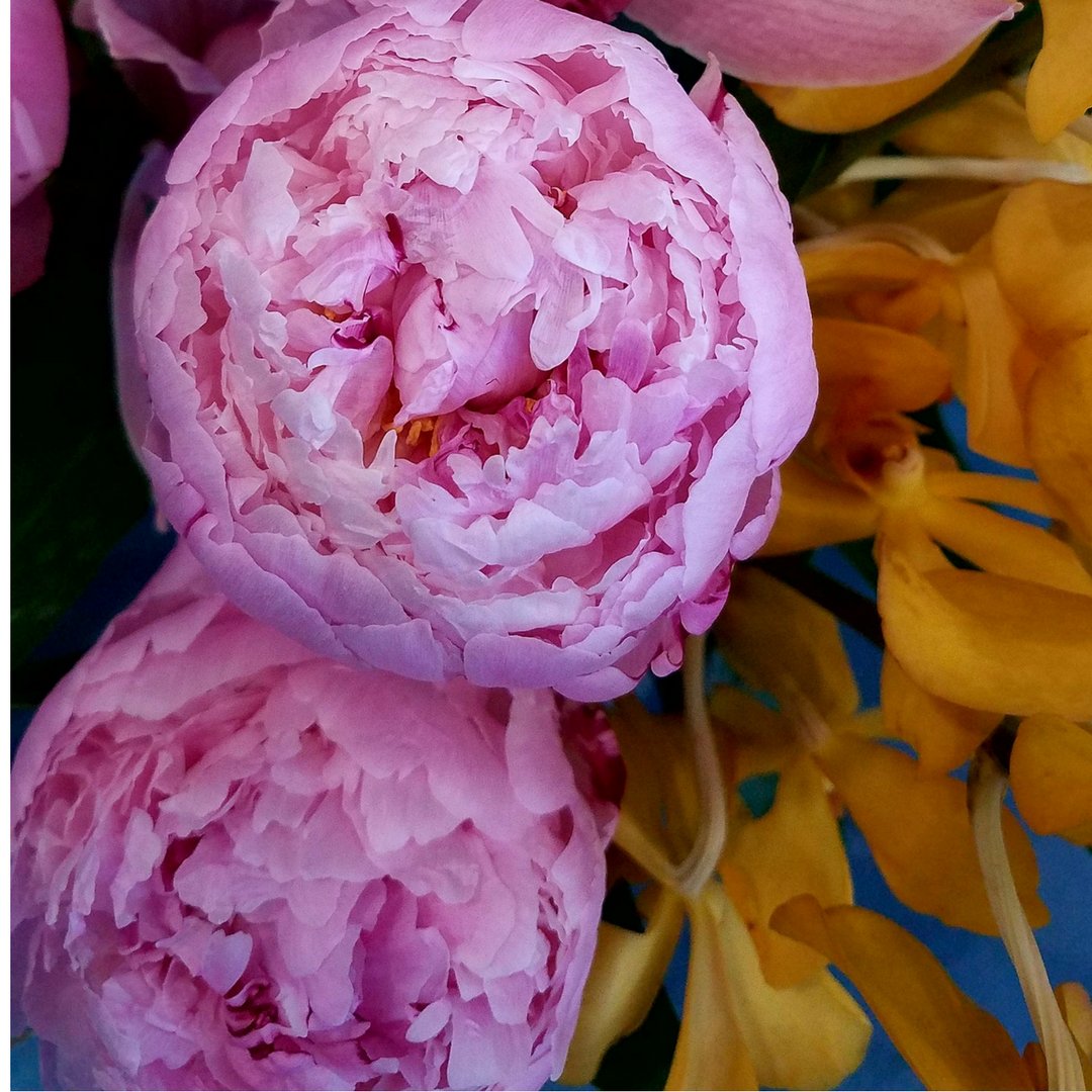 Happy #PiDay! We're celebrating by using our favorite round shaped flowers today. What's your favorite circular bloom?