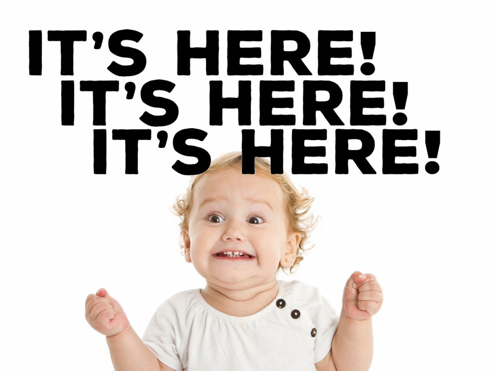 SnoBear_Canada's tweet photo. It's here!  It's here!  It's Migration time! We are on our way to Gimli, MB to join SnoBear owners and friends from all over North America! Watch for great photos of people with large fish and even larger smiles!  #SnoBear #2018Migration #KidFish #ItsTheMostWonderfulTimeOfTheYear https://t.co/FOfVSSegMj