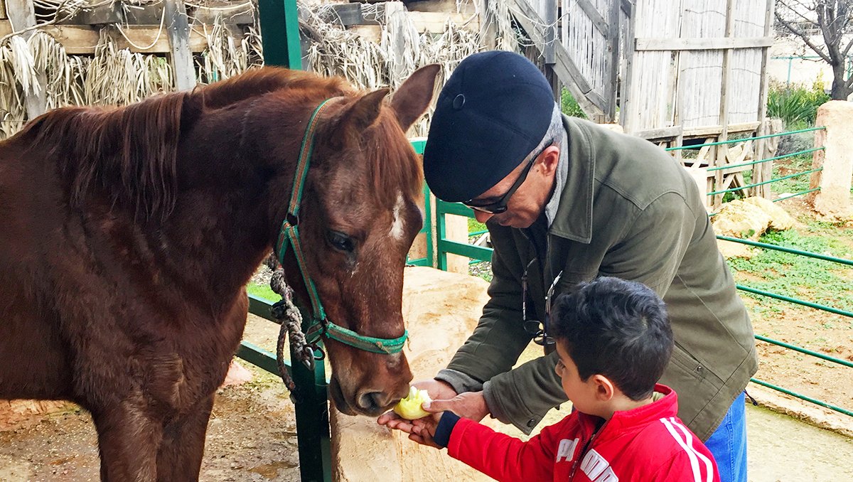 workinganimals_'s tweet photo. Sunk the horse was once a patient of our veterinary team in Jordan. Now he’s a very welcome addition to their education centre, where he helps children learn the importance of compassion and respect for animals ❤️️
Read his story https://t.co/A6V46sWmgy https://t.co/5oTxFVFZQ9