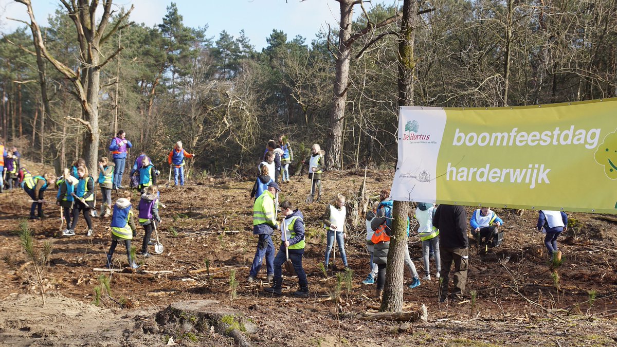 Er zijn vandaag 225 bomen geplant in het Strokelbos tijdens de Boomfeestdag 2018. Alle leerlingen kregen een fruitstruikje mee naar huis als aandenken. #boomfeestdagharderwijk