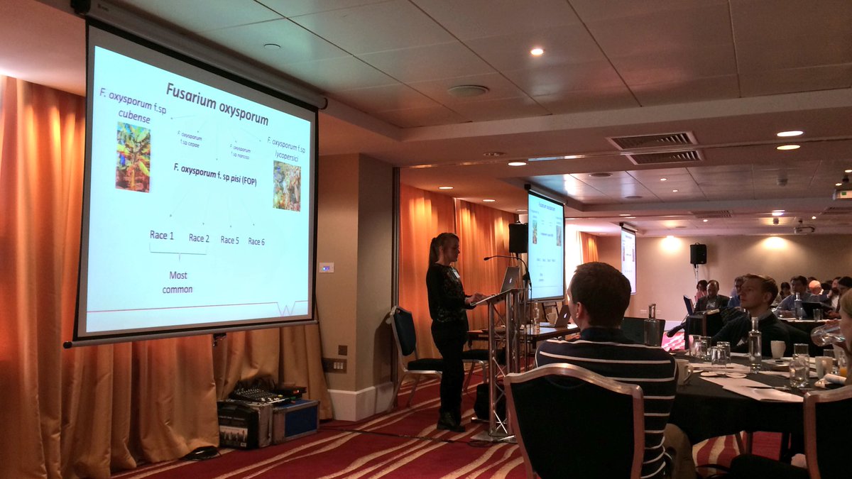 James_Phi's tweet photo. Sascha Jenkins @WarwickPlantSci is giving the first of our early career research flash talks at #hapi2018 - tackling Fusarium in UK #peas https://t.co/PDY12JuMuk