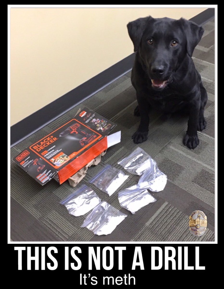 NampaPolice1's tweet photo. #ThisIsNotADrill
With the help of Nampa Police K9 Drake, a traffic stop for speeding yielded methamphetamine hidden in a Black and Decker drill box.
Good Boy, Drake!
#NotForYourAverageDIYProject #WednesdayMotivation #DontDoDrugs #YouKnowTheDrill #NotInNampa #K9Drake https://t.co/c5MSrXK99S