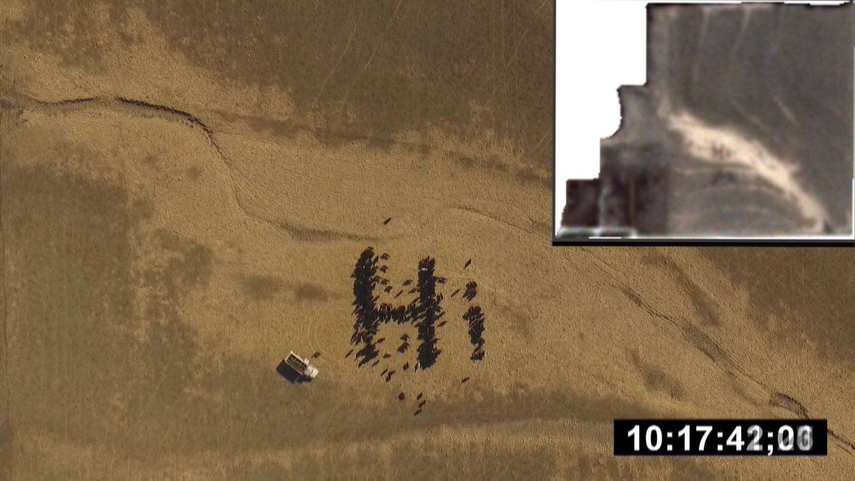 farmerderek1's tweet image. I timed my cows to line up for a picture from a @planetlabs satellite. Watch the vid to find out how I did it. youtu.be/zsv-4GfqhKU  @elonmusk @KWCHDevon @CraigAndresKSN @FWaughKAKE @NASA @ISS_CASIS