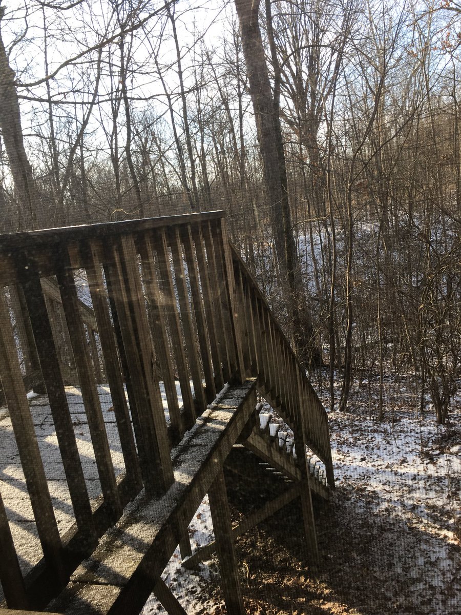 mollyyowell's tweet photo. Thanks to Anderson Schools for hosting a Digital Content Curation Workshop today. The Tanglewood Center offers beautiful scenery for a day of learning! #INeLearn https://t.co/j1b3021m9c