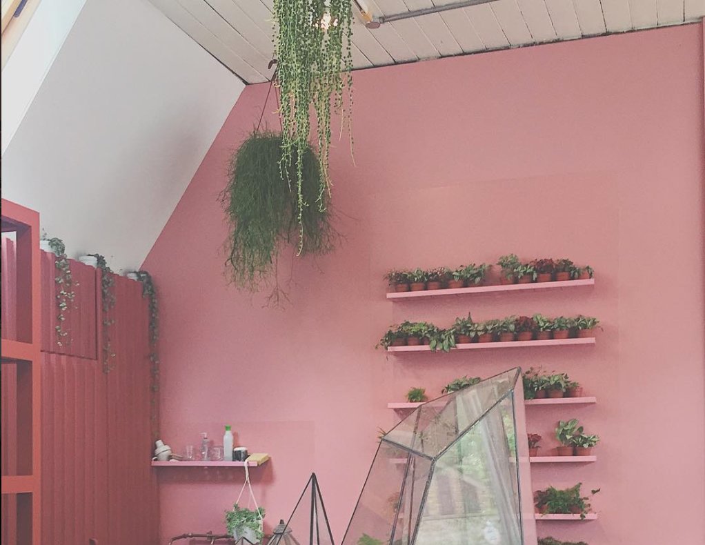 FigMag_'s tweet photo. Buy from #smallbusiness ’ take a look at @londonterrariums based in New Cross, London 🌿🌱☘️🍀 https://t.co/spUprc1X0M