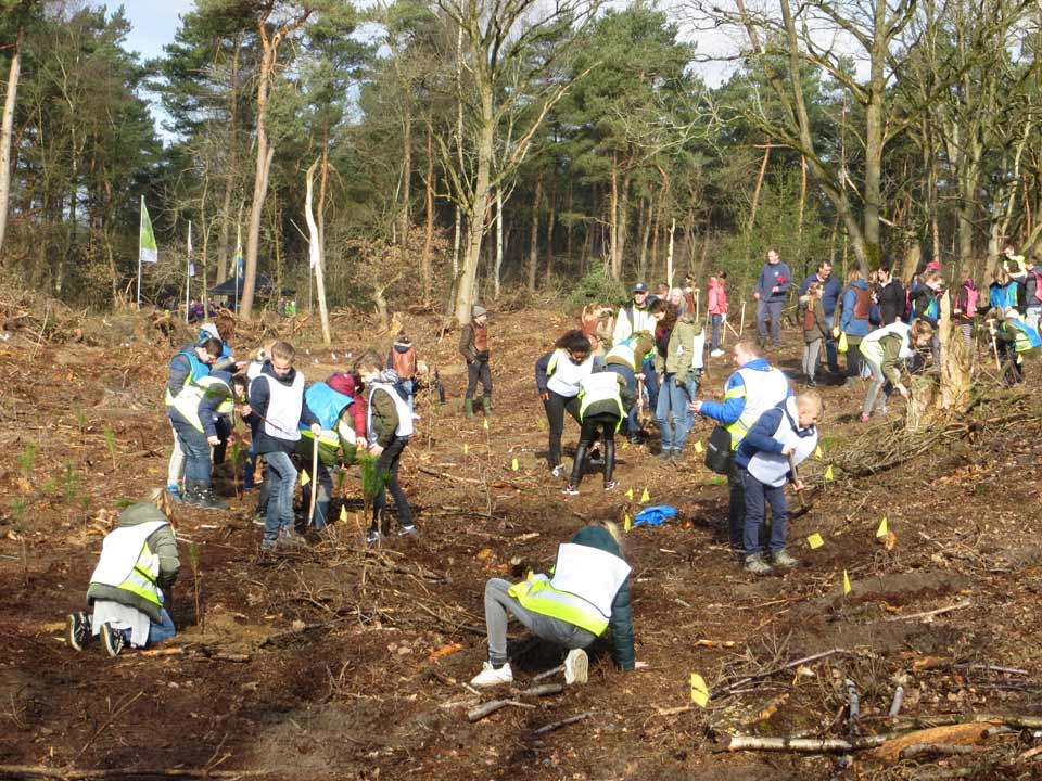 Vandaag met 9 Harderwijker basisscholen bomen geplant in het Strokelbos in het kader van #boomfeestdagharderwijk! Wat een succesvolle ochtend, met ruim 225 kinderen. Samen maken we de omgeving groener!
