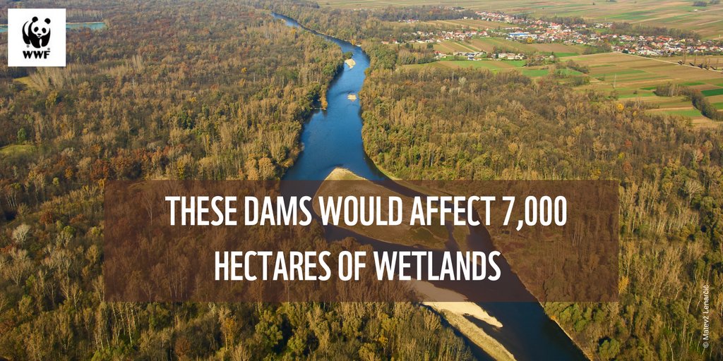 Slovenia’s Mura River is projected to be dammed by 8 hydropower dams. Take action now: sign this petition to keep the Mura River flowing! #DayOfActionForRivers bit.ly/2FisxKy