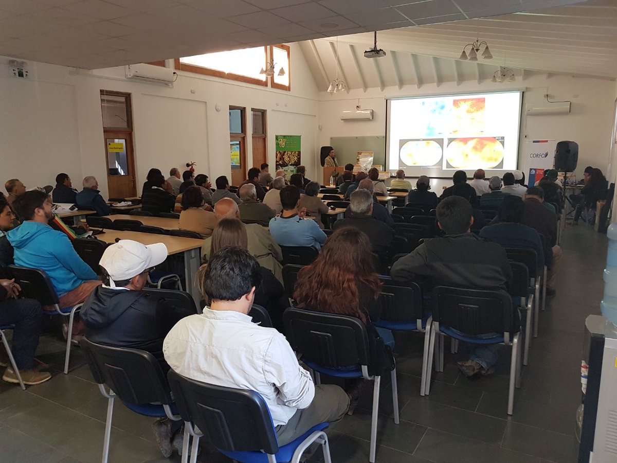 Indap_coquimbo's tweet photo. Participamos con stand en el seminario "Actualización en el manejo del nogal", realizado en #Salamanca y organizado por Nueces del Choapa. Damos a conocer nuestros programas y atendemos preguntas de los asistentes. https://t.co/IghY6tGnAH