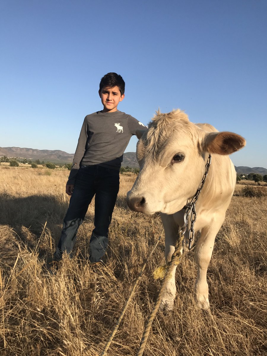 Esta foto es en nuestro rancho en Valle de Gpe. Alguien dejó este torito “encargado”. Daniel es mi hijo más chico, tiene una memoria olfativa admirable. Le encanta ir al Valle, visitar los viñedos y comer en los tacos “El Trailero”.