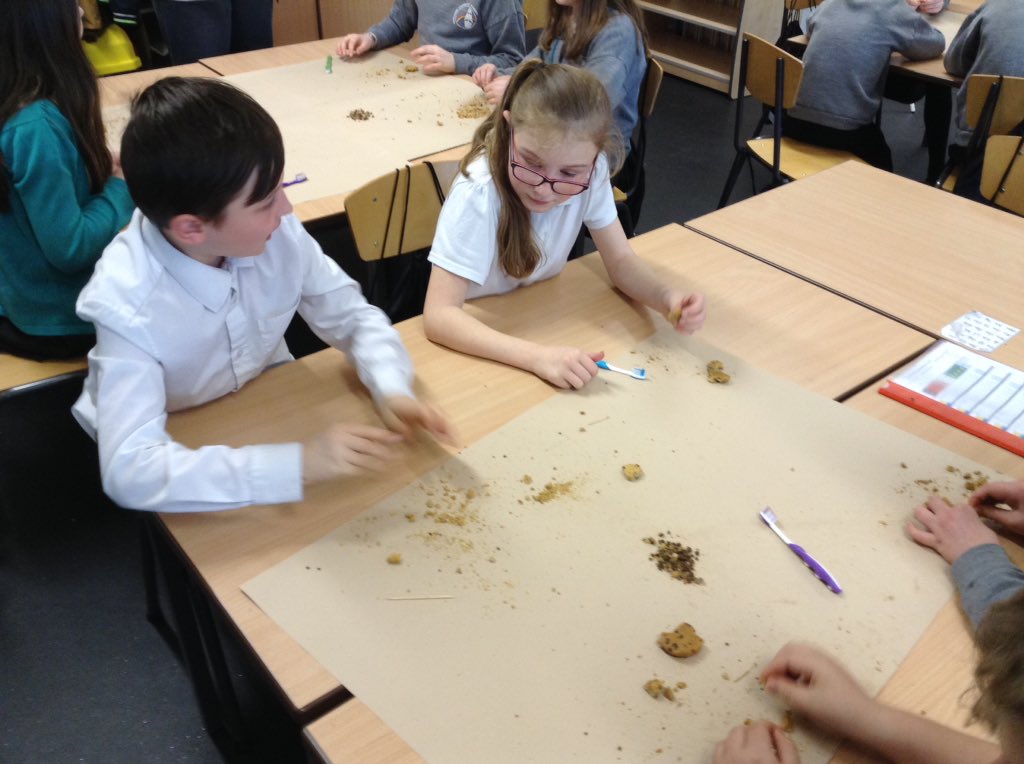helentaylorMCA's tweet photo. Y6 being palaeontologists for the afternoon! #super science @DavidSammels @katielobbMCA @Mayflower_MCA https://t.co/mP5wwovp0A