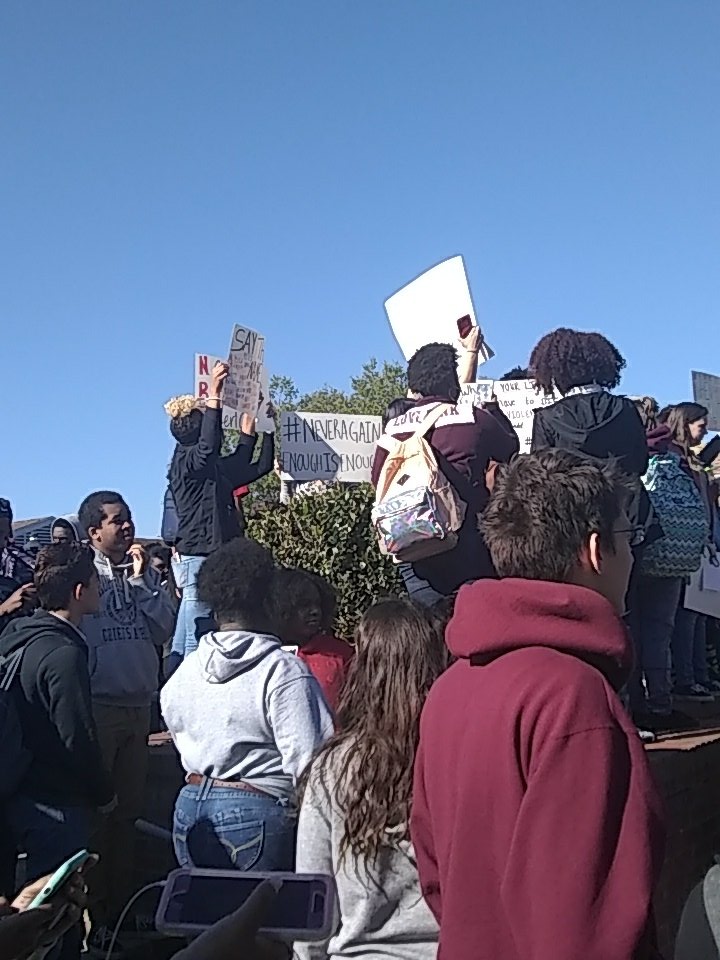 evacuatedolans's tweet photo. Walking out for a protest of gun violence https://t.co/hxMoOa785Q