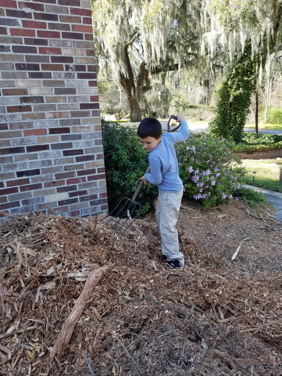 DangeloProperty's tweet image. My son, cousin and I laying mulch  for flowerbeds. 
#familytime #familylife #family #fathersontime #fatherandson #father #thatsmyson #daddysboy #fatherhood #mulch #mulchbed #flowerbed #flush ##flowers #gardendecor #gardening #smile #dangeloproperty #follow #share #likes #RETWEEET