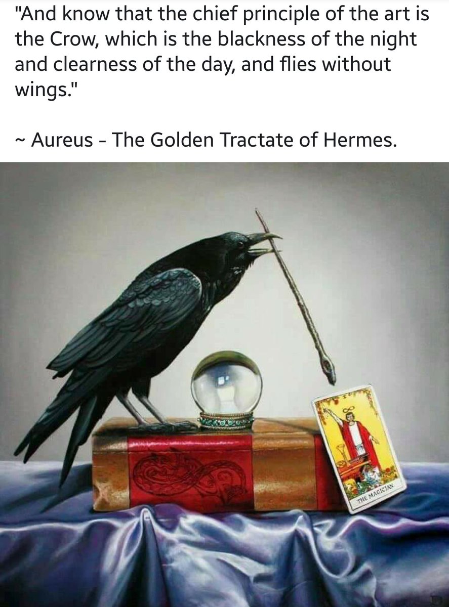 Jasmuna1's tweet photo. #Aureus Advice

If you practice this stuff, make the Crow your animal spirit.  Messenger of the emptiness in the basket.

Watchers.

#March is #Hermetica Month   

https://t.co/oCVrgncMef https://t.co/fB3l5FwtcX