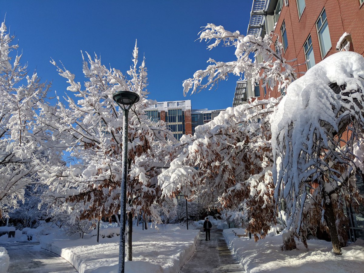 JKamens's tweet photo. It's so lovely outside @Addgene HQ. If only I didn't have to remove snow from the end of my driveway from plows 3X in the last 24 hours, I'd then enjoy it a lot more. #TryingToBeZen #FromMinnesotaButStill #PiStormDay https://t.co/g5kGNQbVtd