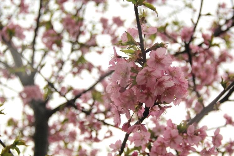 魅力無錫 Wuxi China tweet media