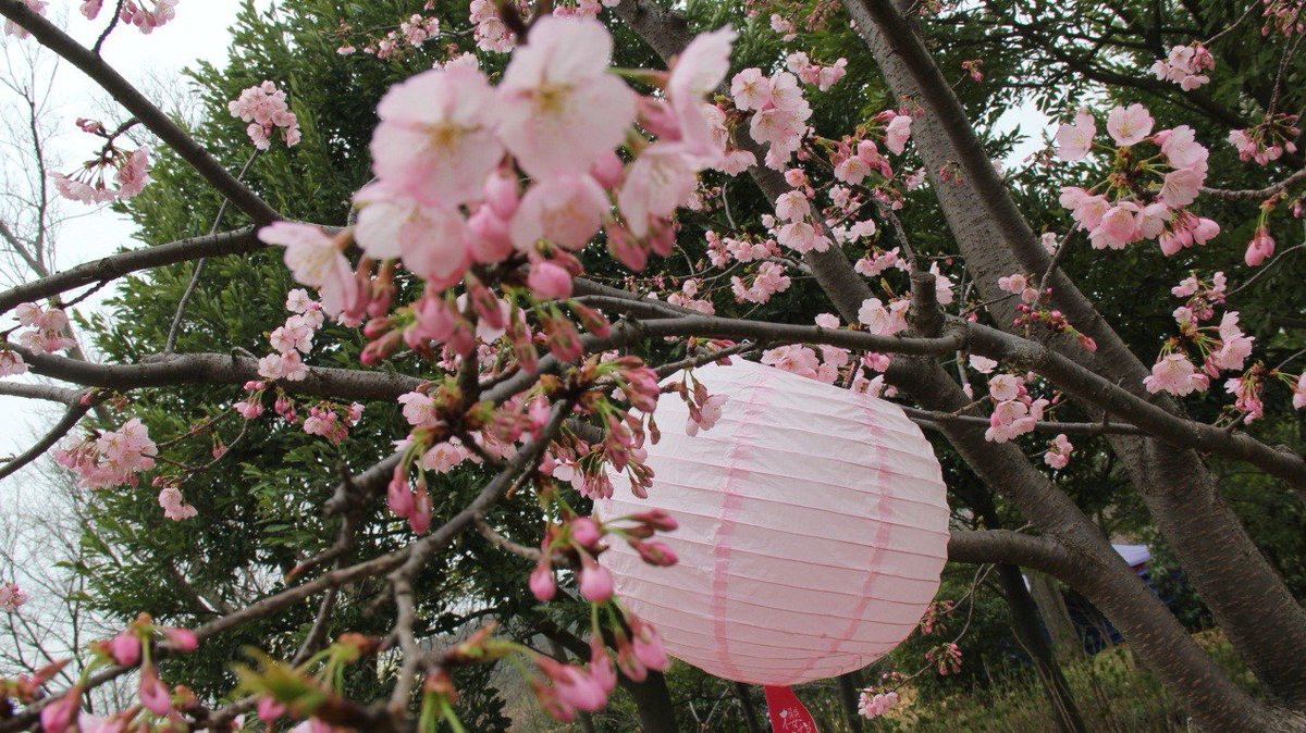 魅力無錫 Wuxi China tweet media