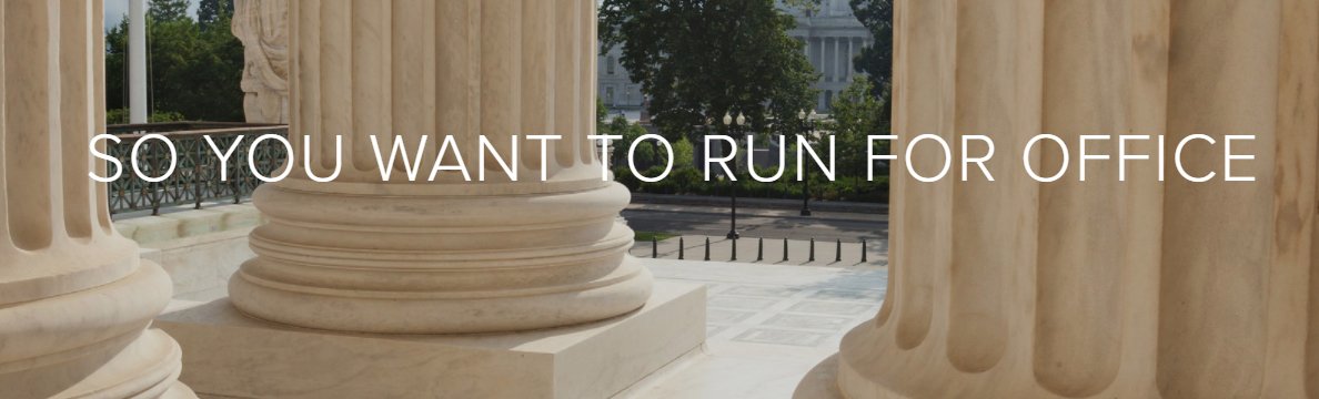 So....are you crazy enough to run for political office?  If so, here are instructions on how to be successful.
   crazypolitician.vote