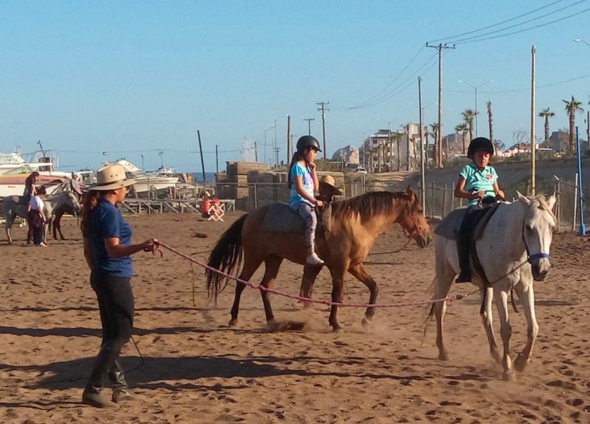 GringoGazette_'s tweet photo. These horses aren't just regular #horses, they also double as rehabilitation therapists. Click here to see how they do it: https://t.co/qFL0qNXuWm #cabo https://t.co/JwySvChVTx