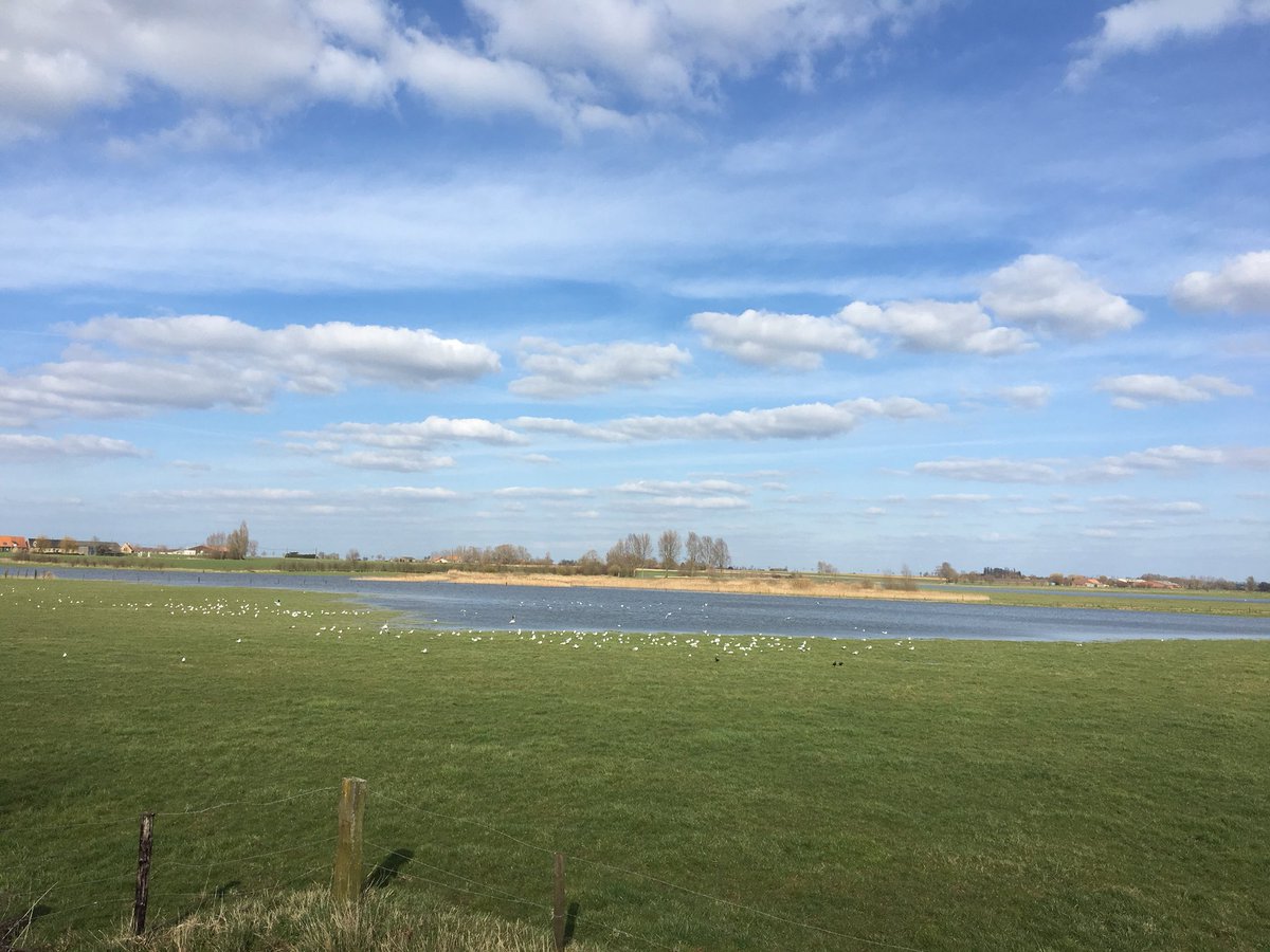 Schitterend fietsweer #IJzer #Alveringem #Stavele #Westhoek #genieten