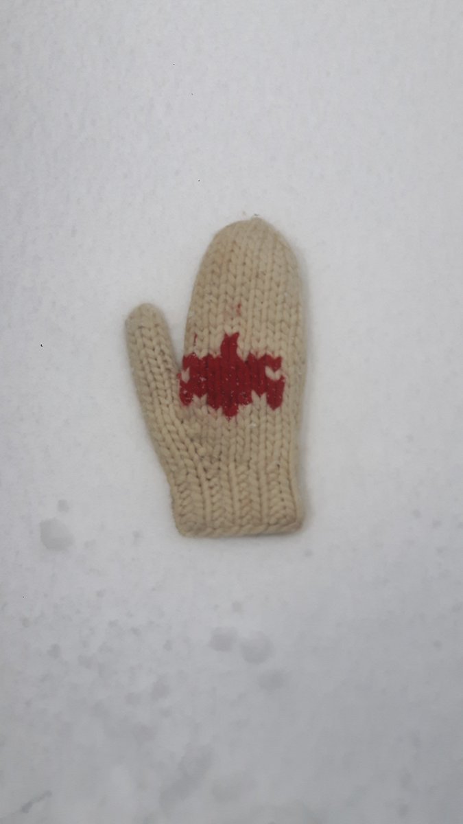 OcSnpConU's tweet photo. Uggghhh #WhatTheWednesday Walking in a winter wonderland ๐ต๐ถ
#Montreal #Canada #TakeTheSnowyStairs #TeamConUCon #SNPSteps18 https://t.co/aqjwmgw8iS