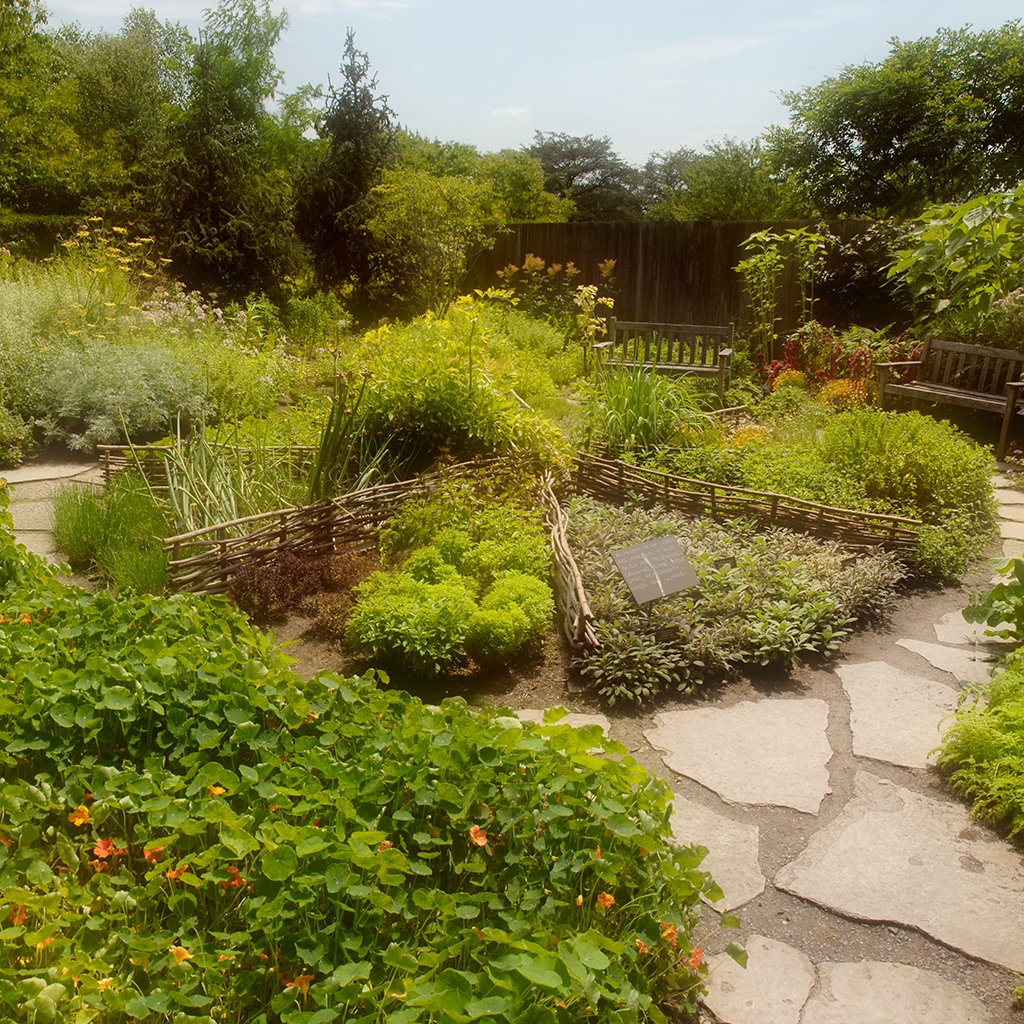 chicagobotanic's tweet image. Happy #PiDay! Planning a circular garden plot this year? Use pi! Measure the diameter of your plot. Halve this number for the radius. Grab pi (3.14) and find your square footage. Area (or square feet) = π x (radius x radius). #piday2017 #math #STEM #gardenmath #WednesdayWisdom