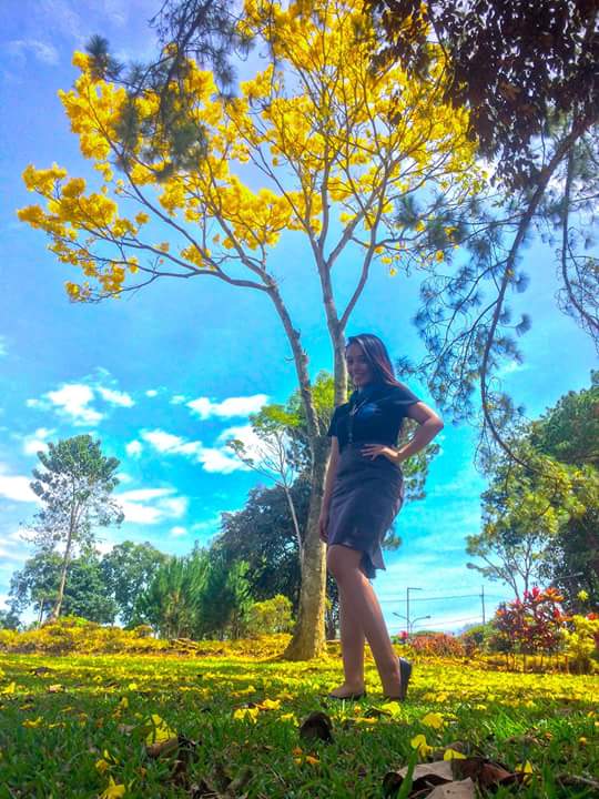shineonmvc's tweet photo. One of our SHS students in MVCA sure is enjoying her moment under the yellow tree ๐ #experienceMVC #experienceMVCA #ShineOn! https://t.co/VnY3NYwrgN