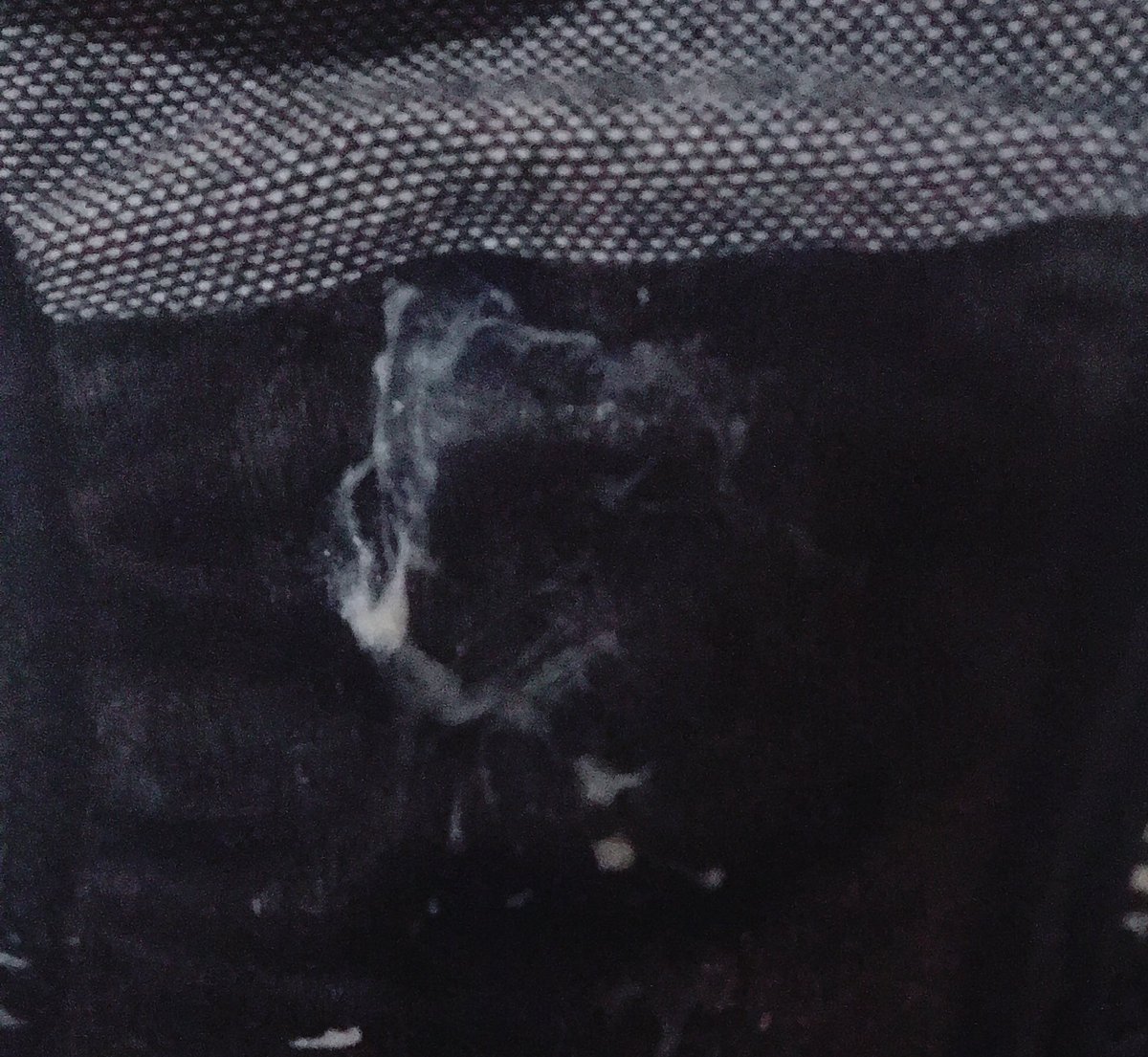 愛液 下着  / X